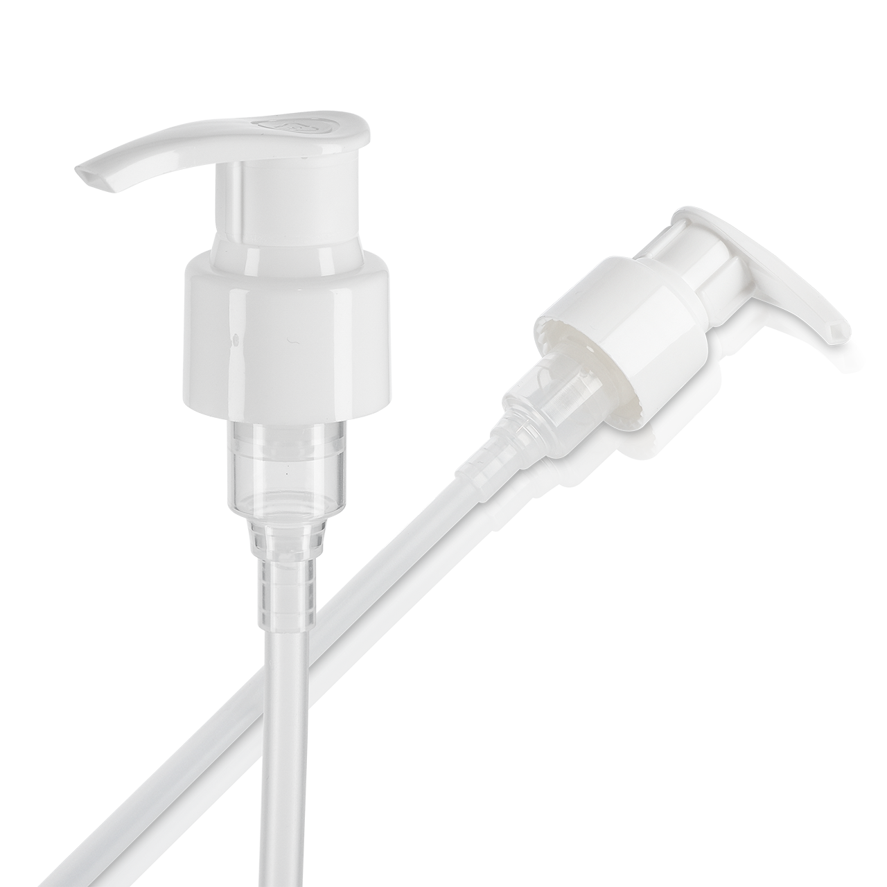 8-2311-24/410-W-GL, Rixius