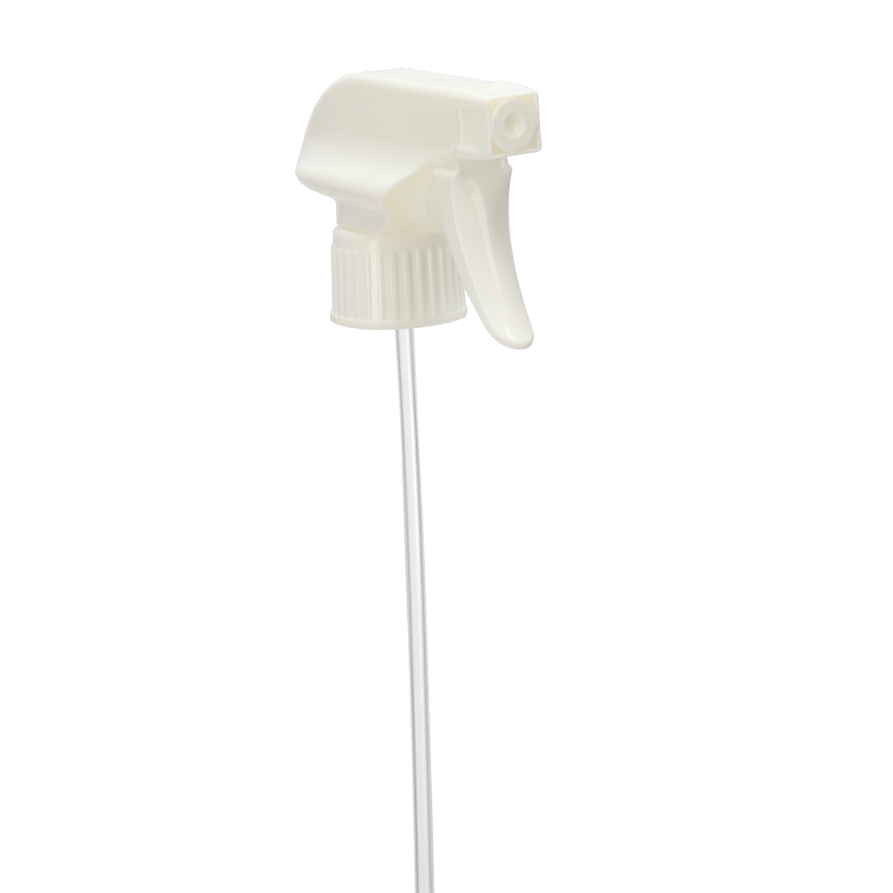 8-3295-28/410-265-W, Rixius