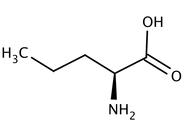 80660777, Molekula