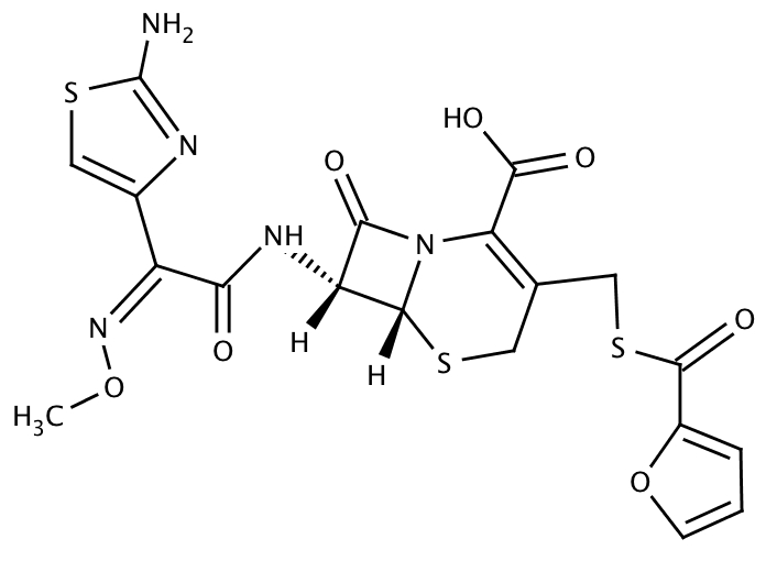 81340424, Molekula