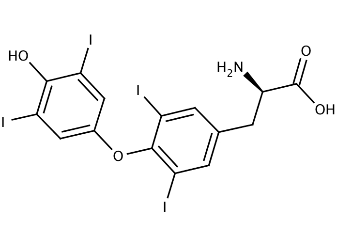83385561, Molekula