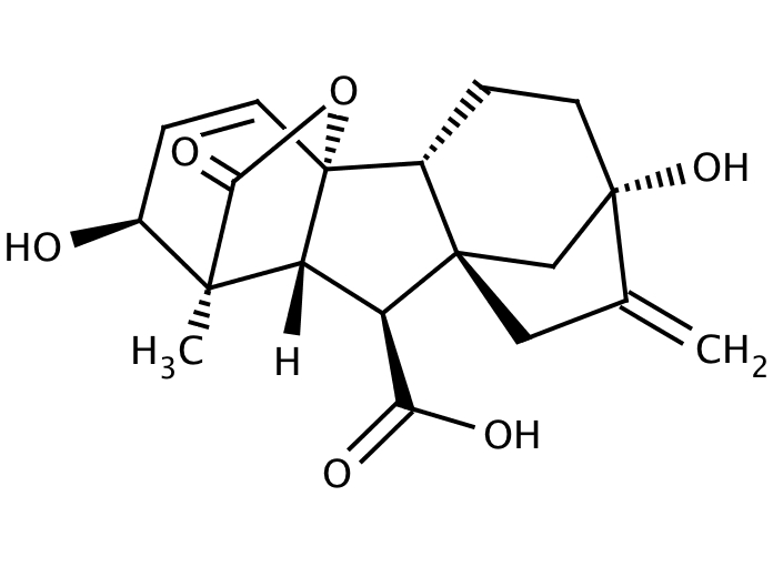 84003407, Molekula