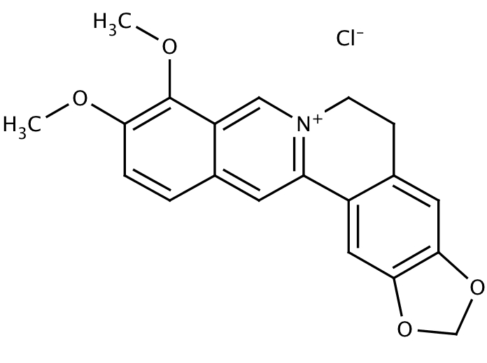 89981875, Molekula