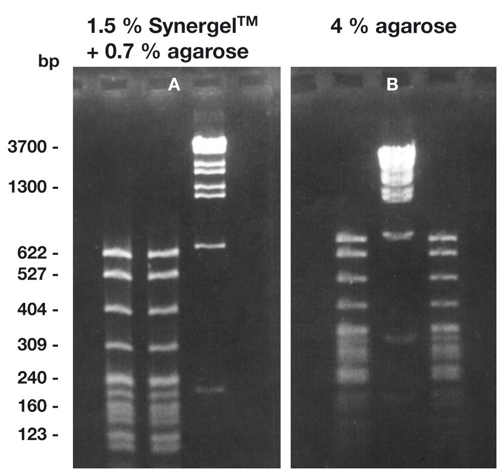 Agarose and Gelling Reagents