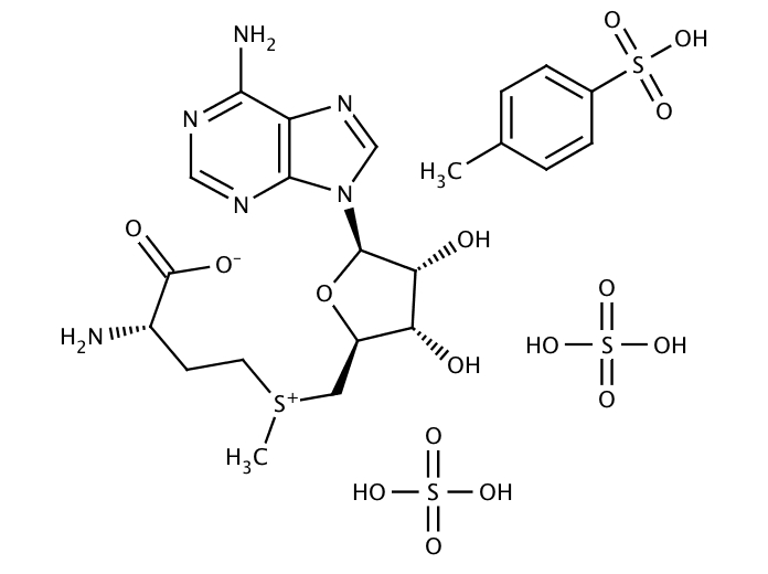 90005691, Molekula