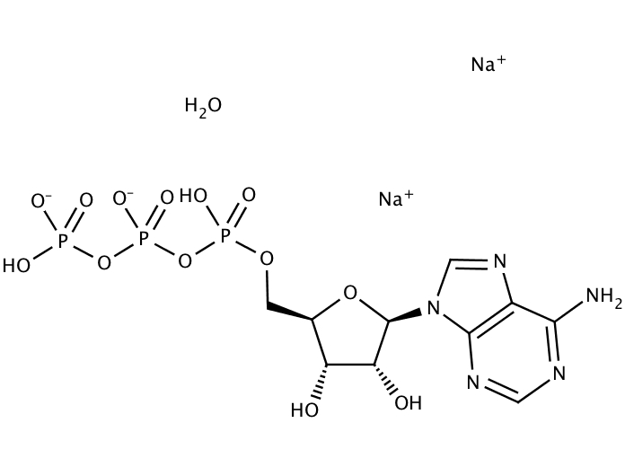 Adenosine-5-triphosphate disodium salt hydrate [34369-07-8]