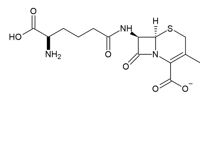 90023326, Molekula