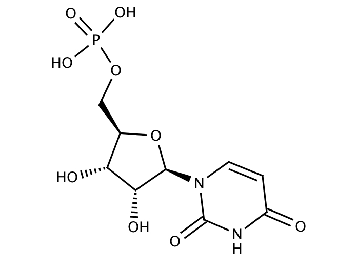 90028723, Molekula