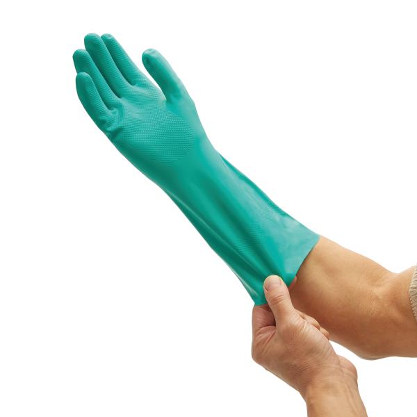 Hand Protection / Gloves