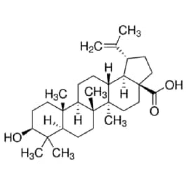 91466-10MG, Merck