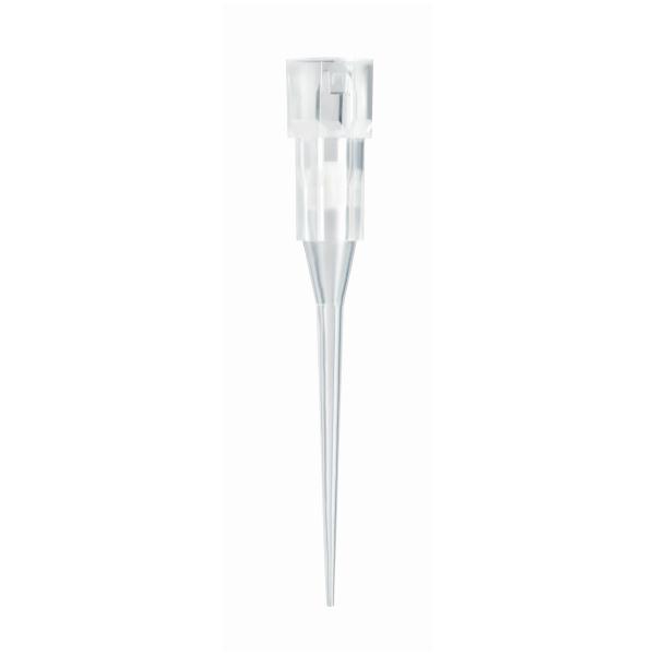 94410253, Thermo Scientific