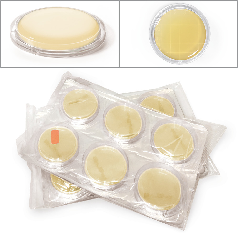 9630.1, Carl Roth