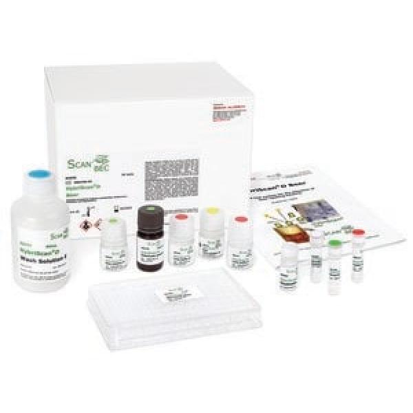 96343-96TESTS, Omnilab