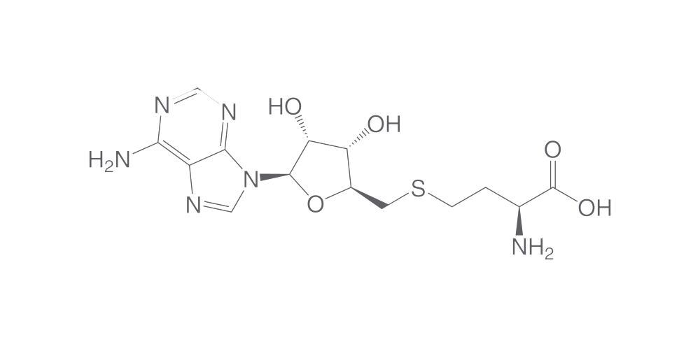 S-(5'-Adenosyl)-L-homocysteine dihydrate, 100 mg