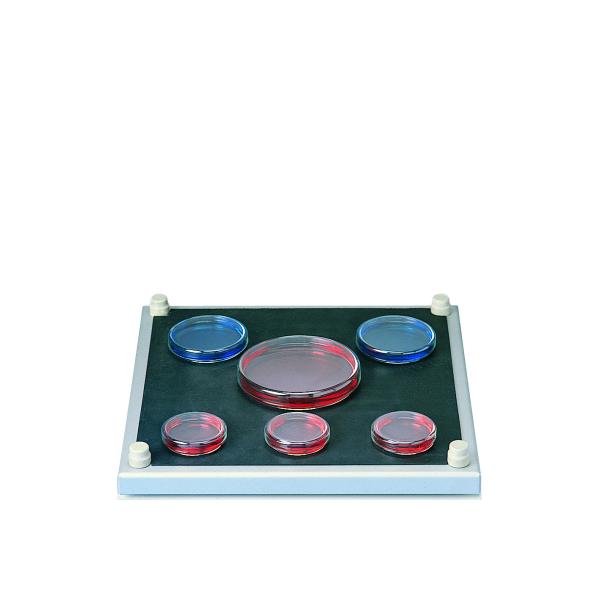 A000041, Omnilab