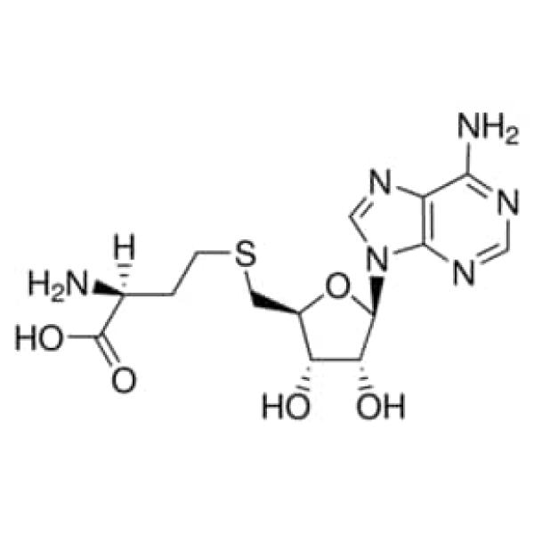 A9384-10MG, Merck