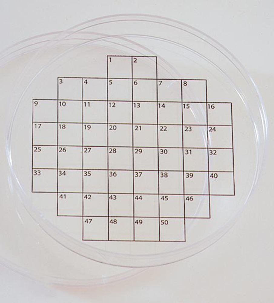 Accessories for Petri dishes