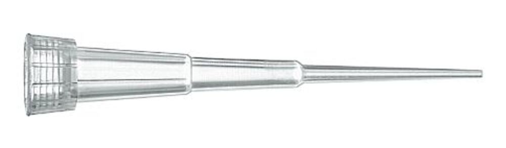 ALT4.1, Brand