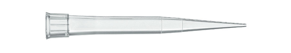 ALX8.1, Brand