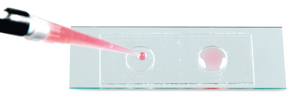 AXC3.1, Roth Selection