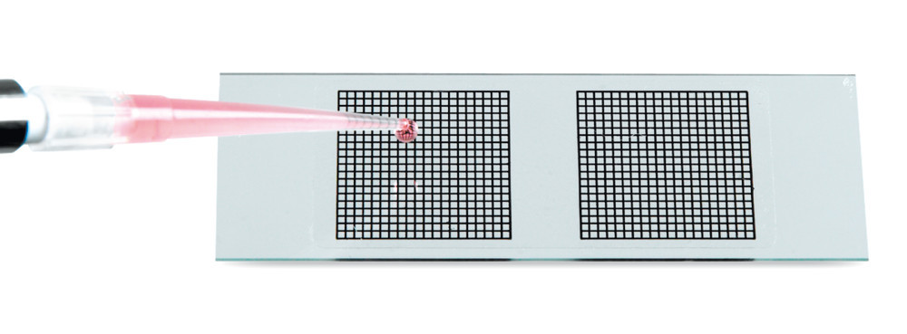 AXC5.1, Roth Selection