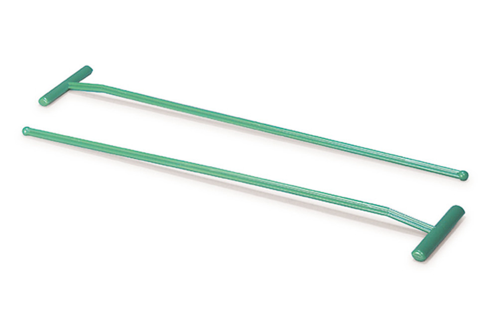 AY19.1, Roth Selection