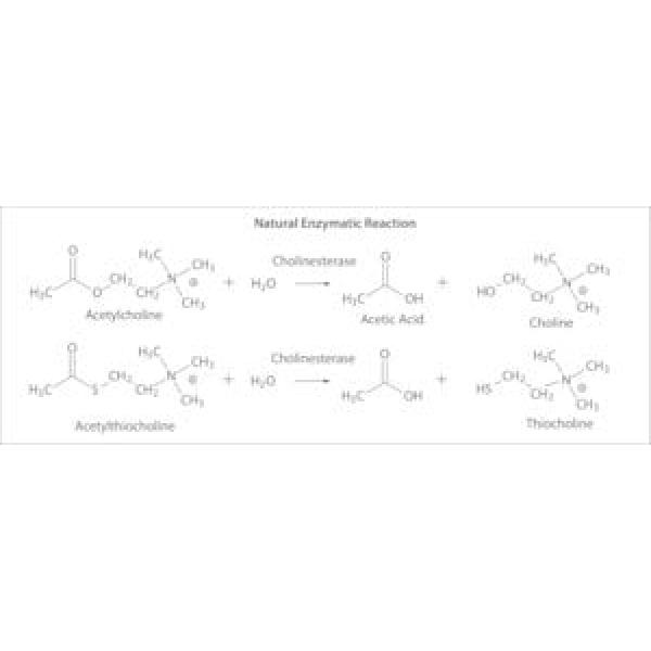 C3389-500UN, Omnilab