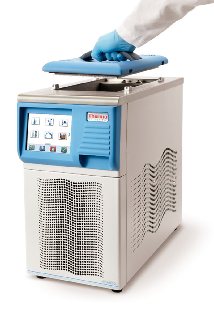 CAY7.1, Thermo