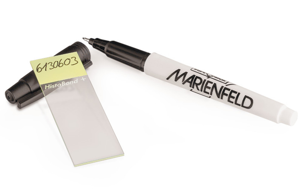 CET9.1, Marienfeld
