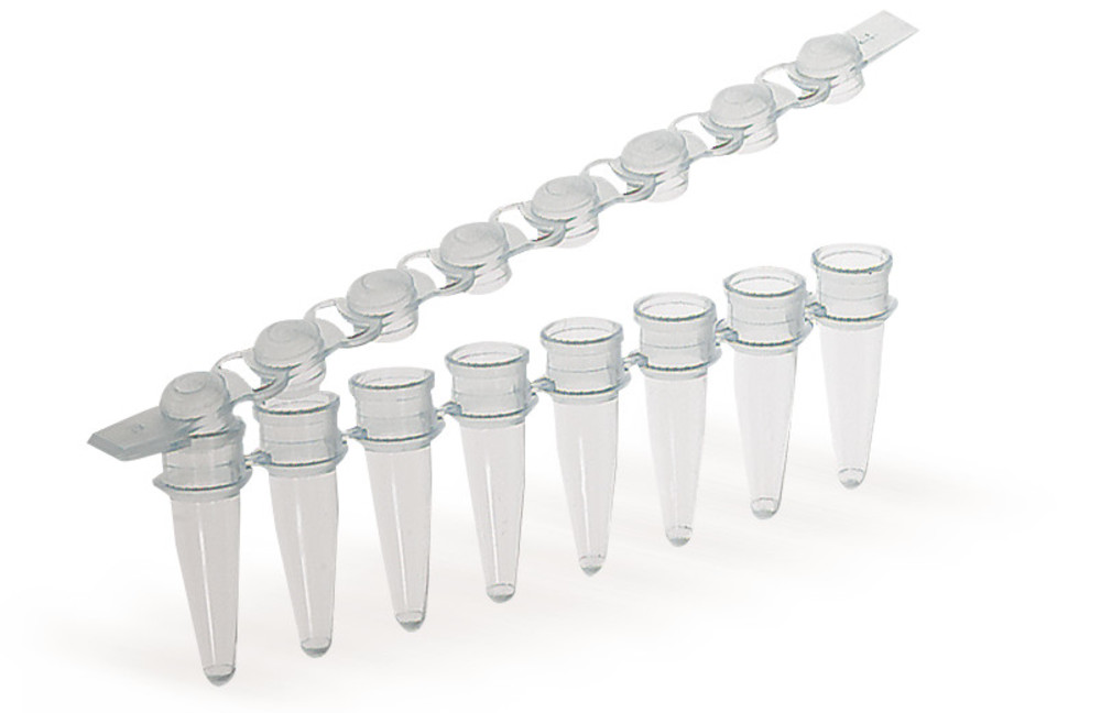 CK84.1, Roth Selection