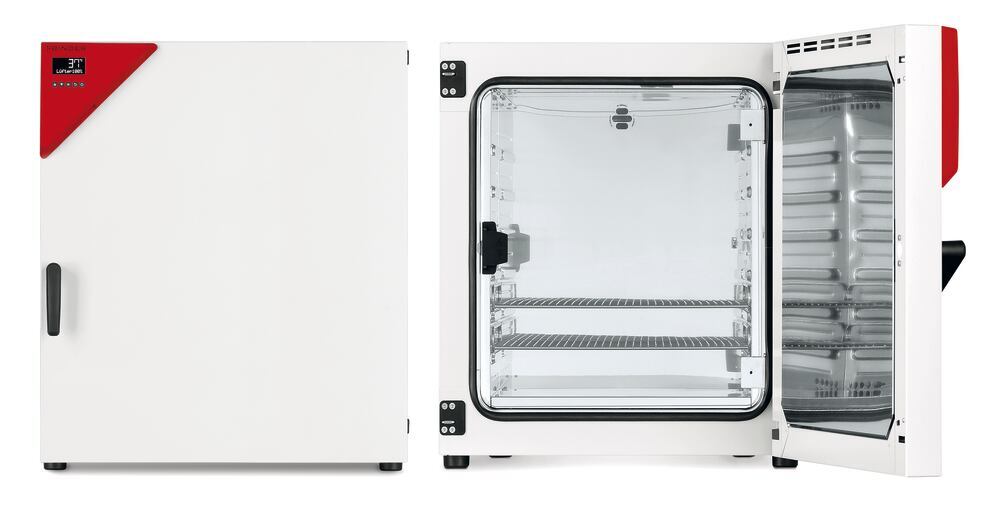 CKH6.1, Binder