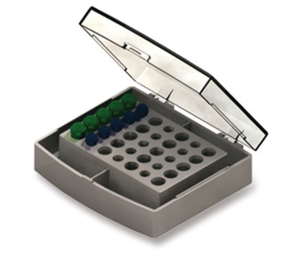 CPN3.1, Cellmedia