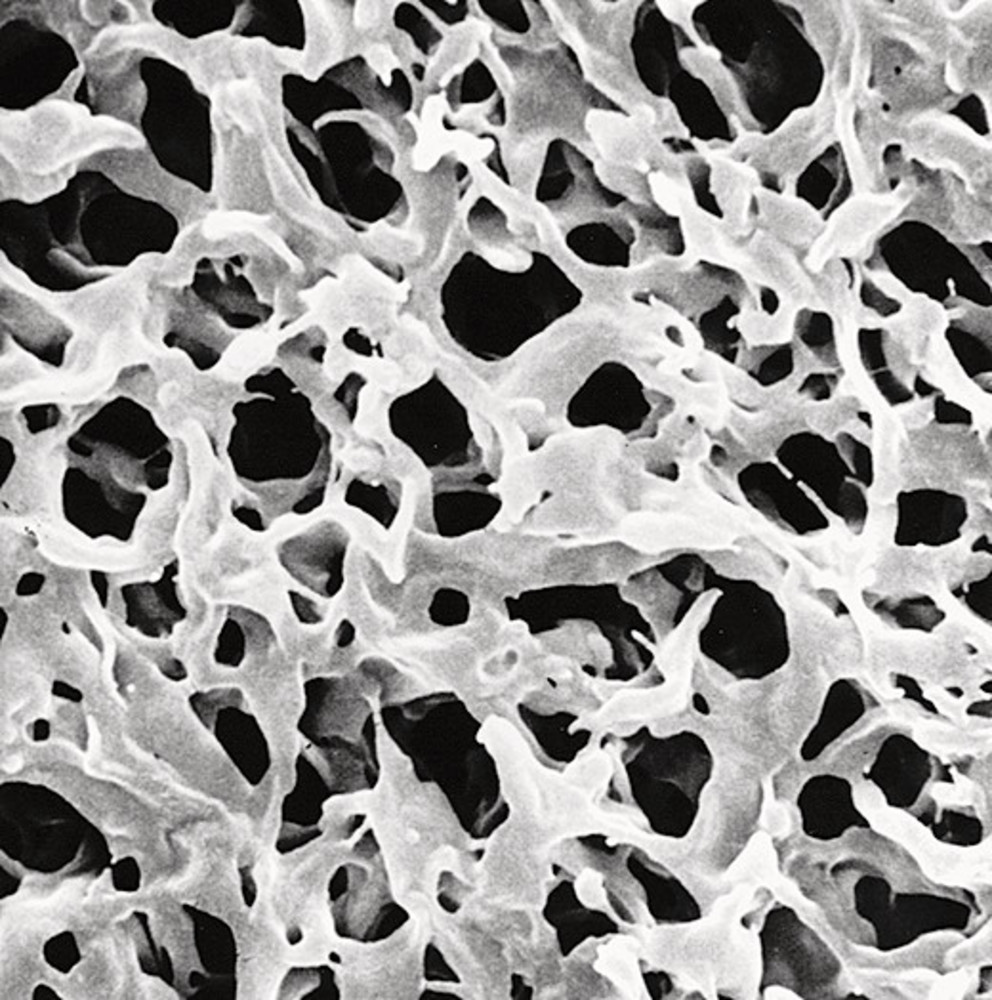 CX13.1, Merck Millipore