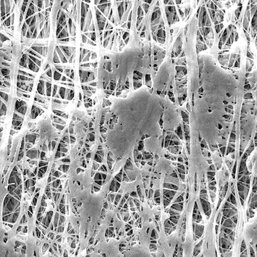 CX58.1, Merck Millipore