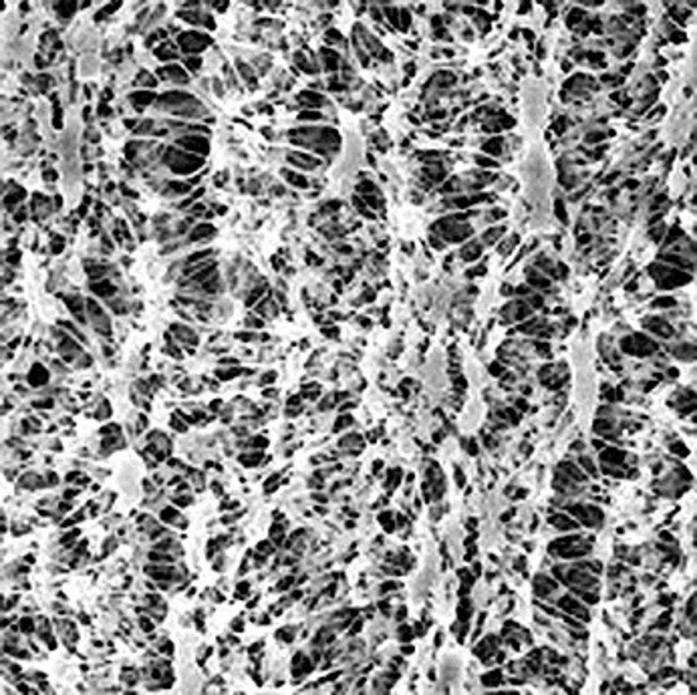 CX68.1, Merck Millipore