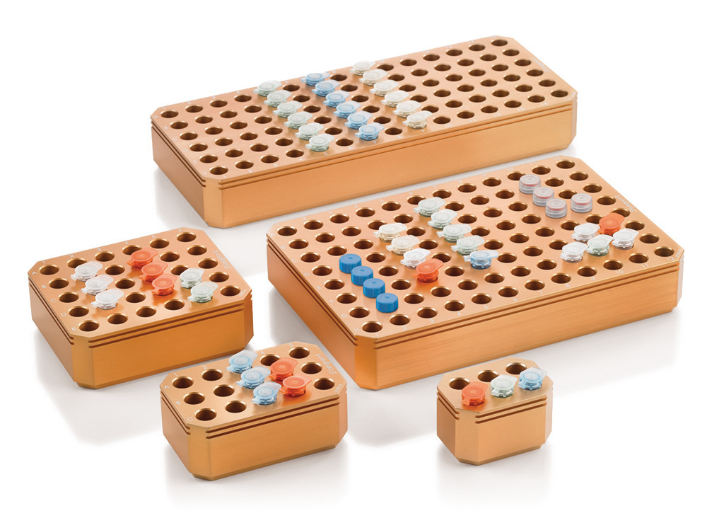 CXK8.1, Roth Selection