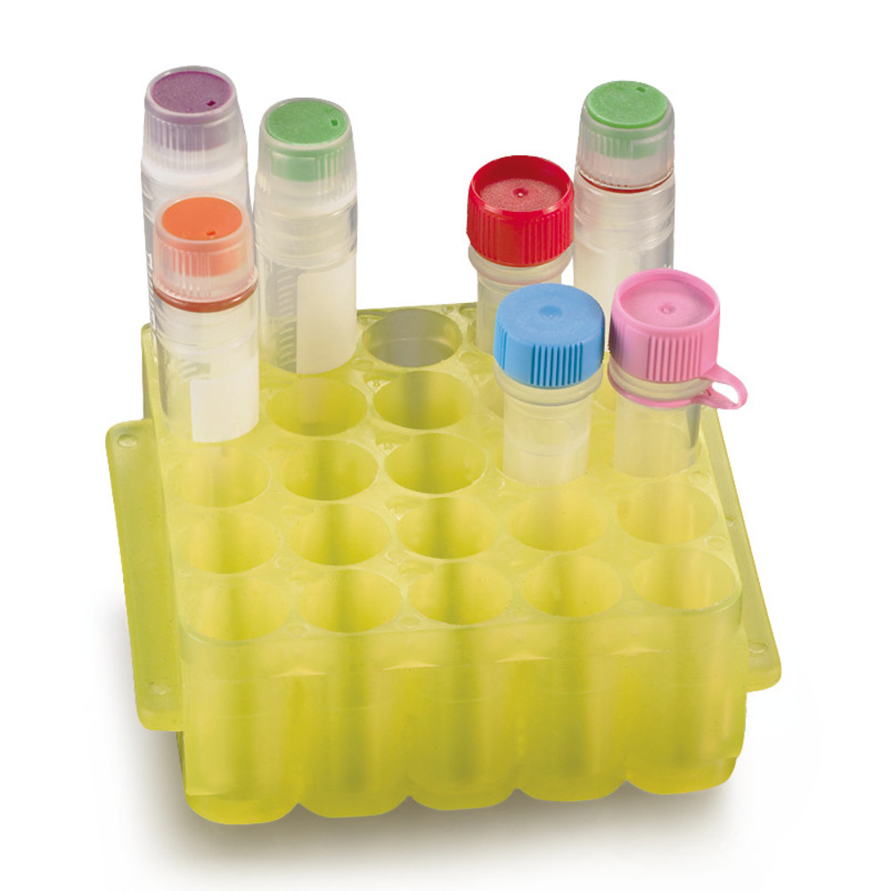 CXN9.1, Roth Selection