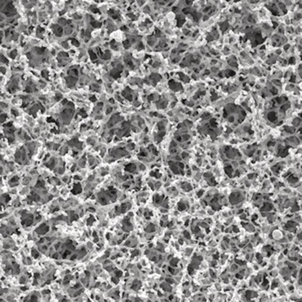 CY37.1, Merck Millipore
