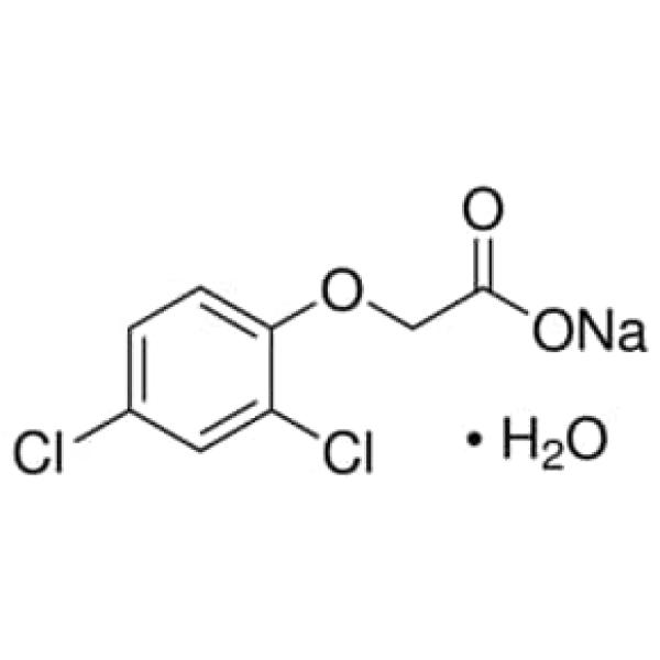 Cell Culture - Specialties