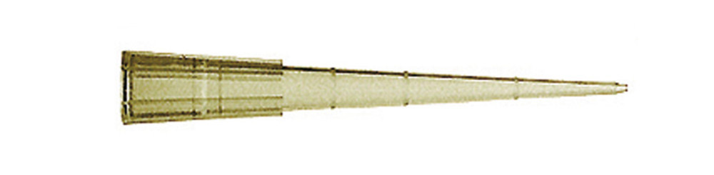 E707.1, Sorenson
