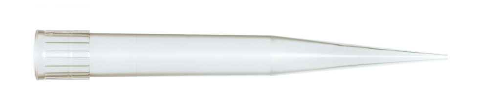 E736.1, Roth Selection