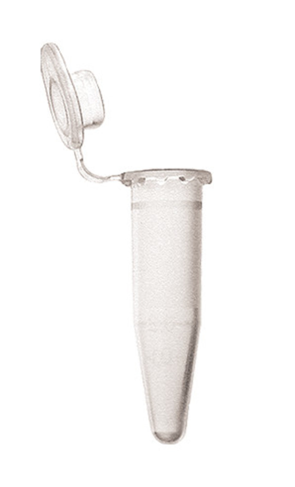 EA83.1, Roth Selection