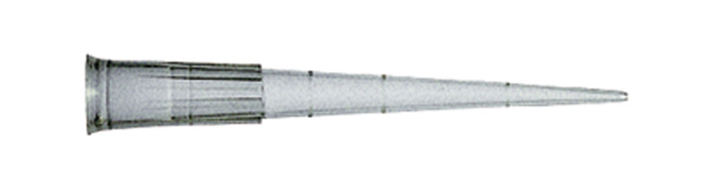 EC33.1, Sorenson