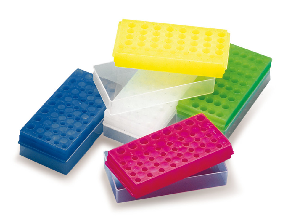 EHP2.1, Roth Selection