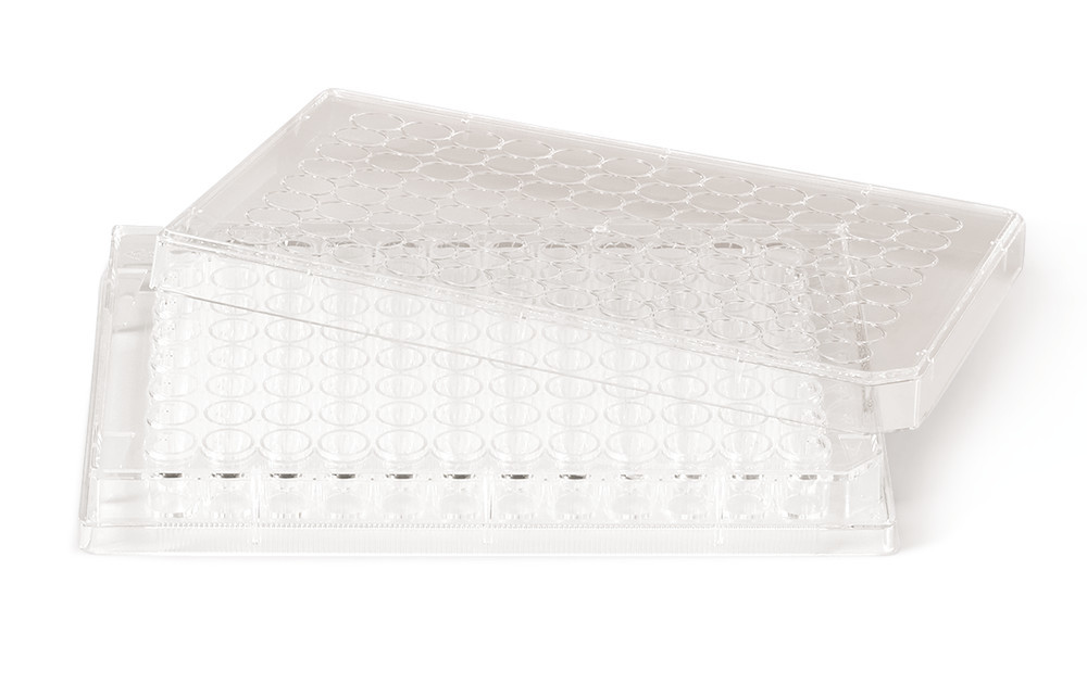 EKL9.1, Roth Selection