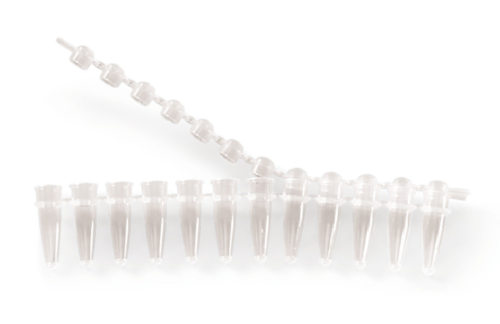 EL79.1, Roth Selection