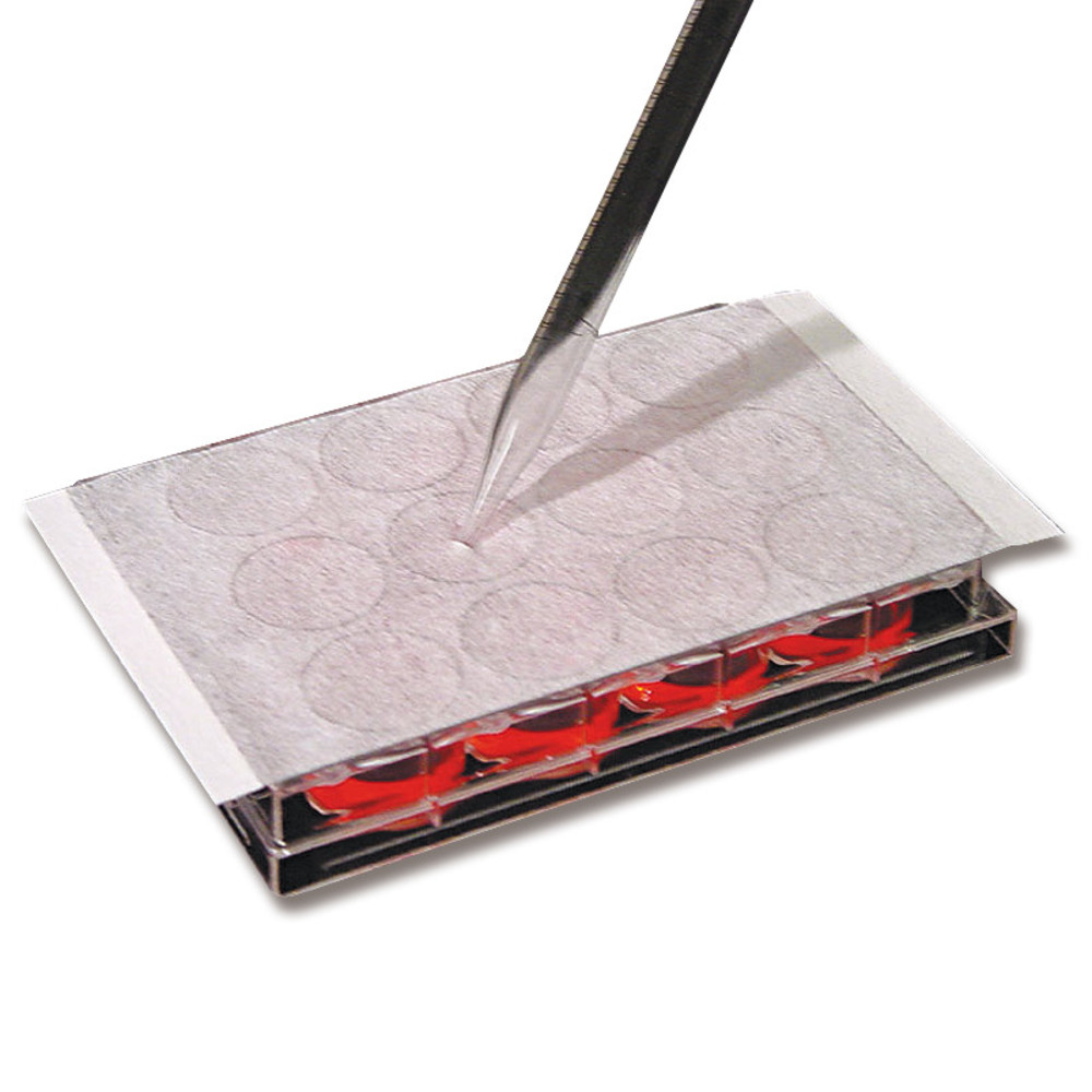 EN85.1, Excel Scientific