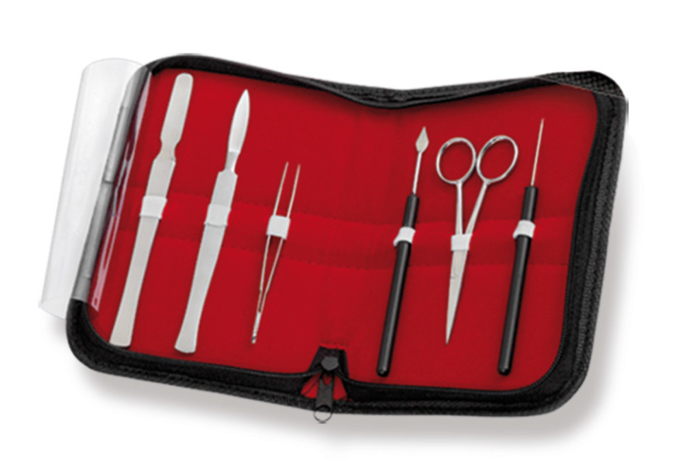 Dissecting sets for anatomy