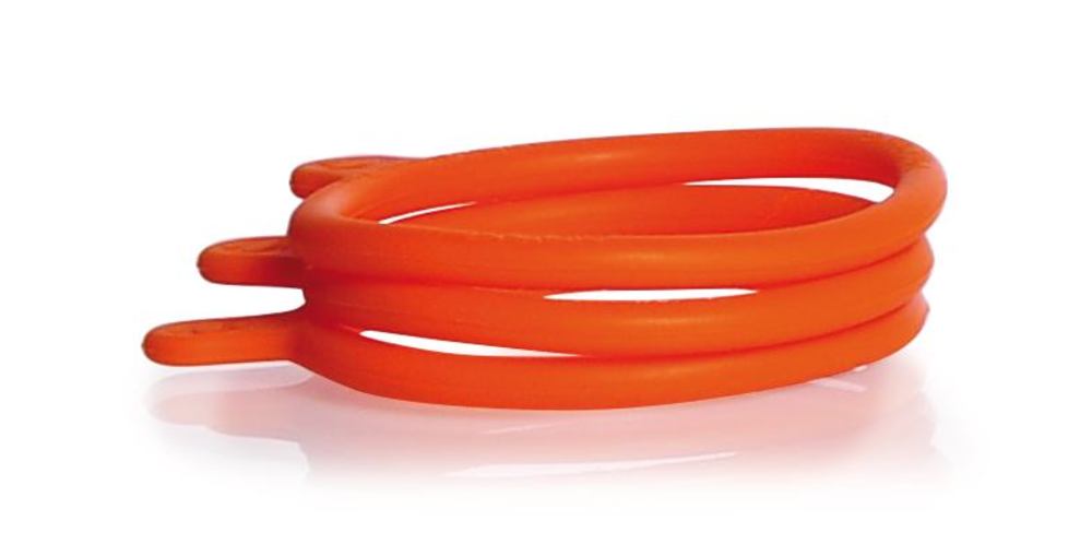 EXH4.1, Dwk Life Sciences