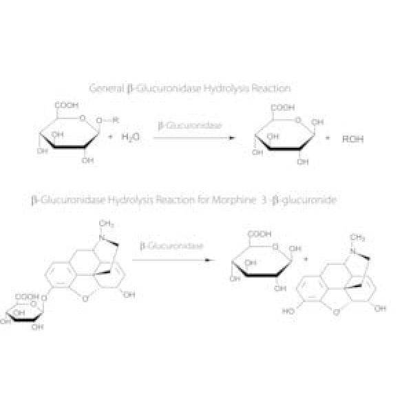 G0251-500KU, Omnilab